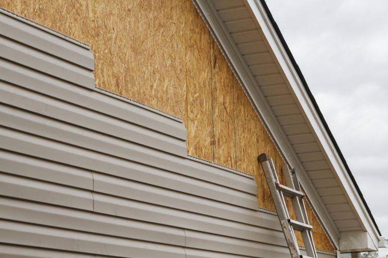 Vinyl Siding Remodel detail
