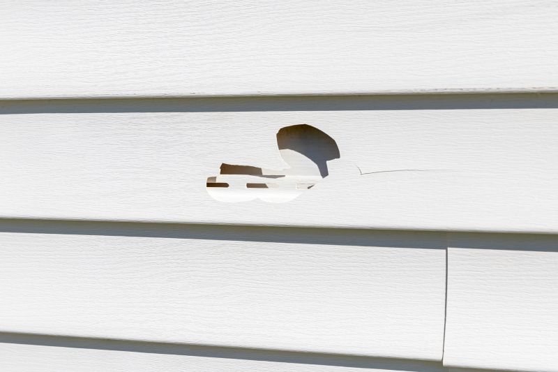 Patch Repair for Vinyl Siding